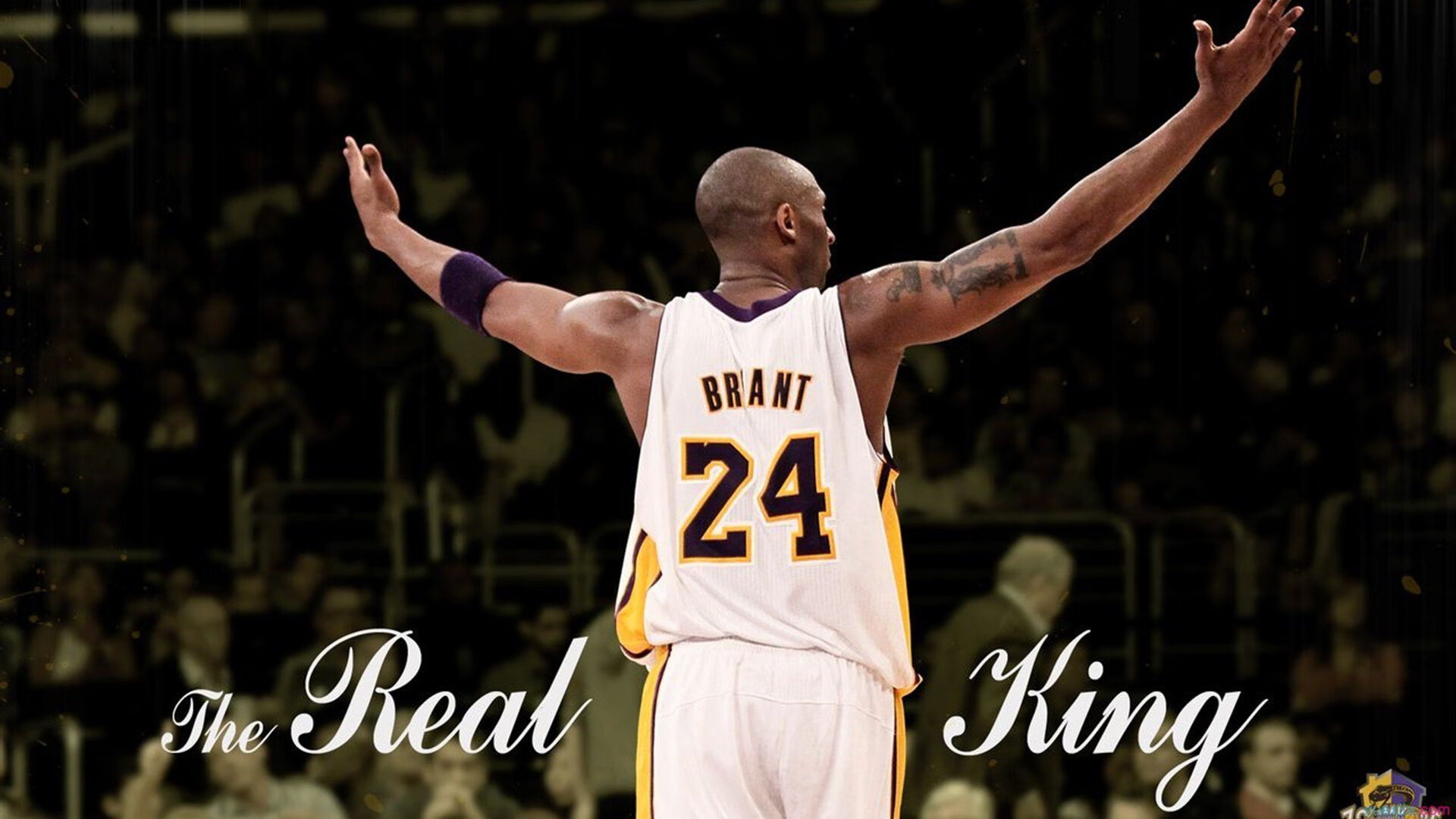 诺维奇攻防两端表现平衡，迎来曙光，诺维奇厉害吗